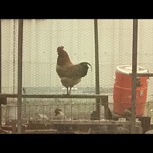 Meet your Posher, Tami